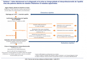 Arbre décisionnel apathie et maladie d'Alzheimer